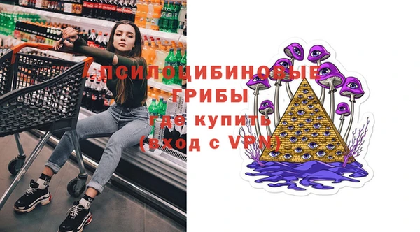 марки lsd Ельня
