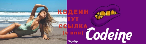 прущий лед Елизово