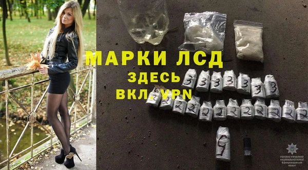 стафф Дмитров