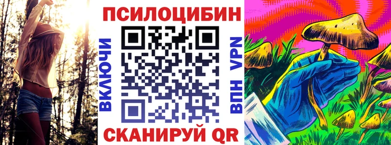 Галлюциногенные грибы мицелий  Купить закладки  Терек 